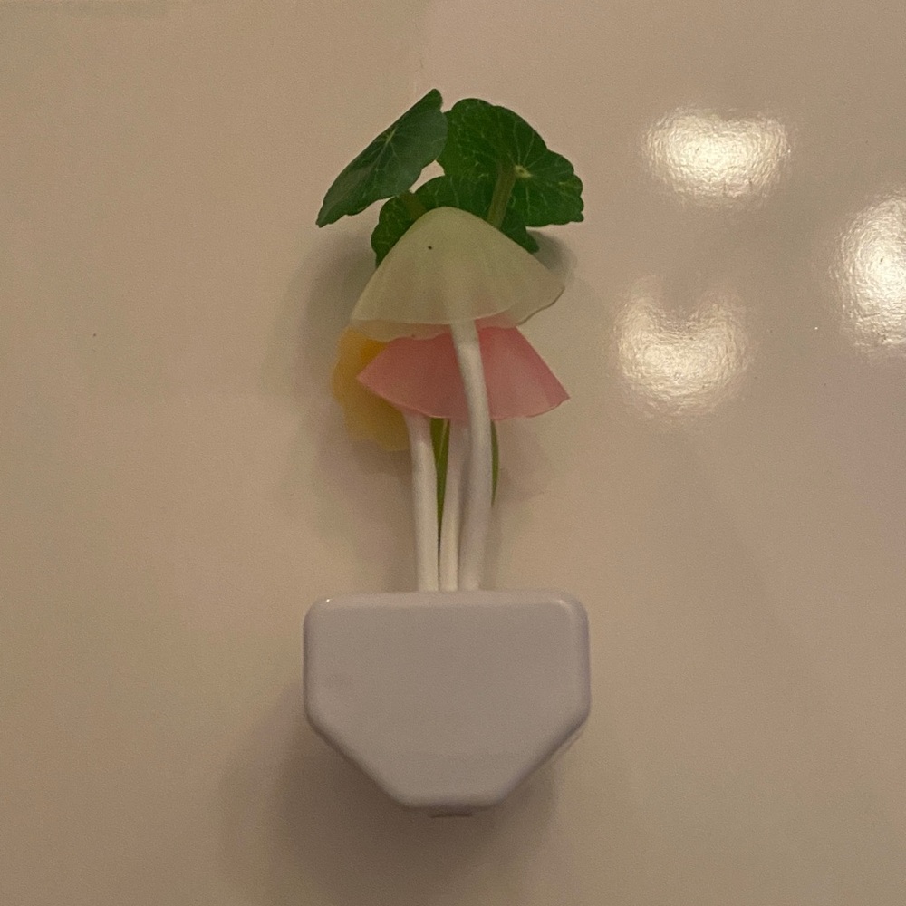 Whimsical Mushroom LED Night Light - Pink, Yellow, Green